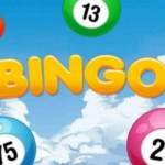 Giới thiệu về trò chơi bingo Fi88